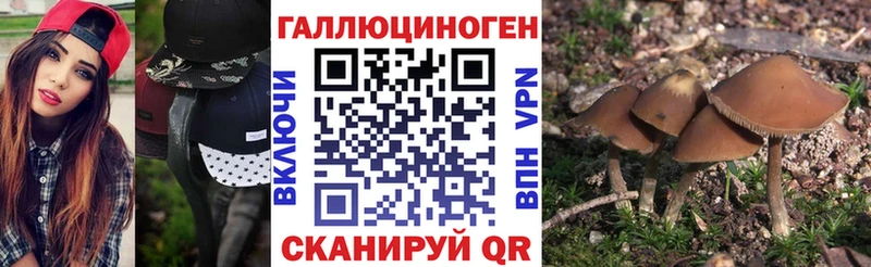 ОМГ ОМГ ONION  Сыктывкар  shop клад  Псилоцибиновые грибы ЛСД 